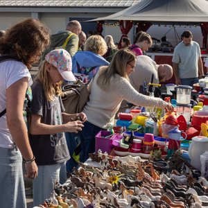 Antik & Trödel 09/2025, Impression
